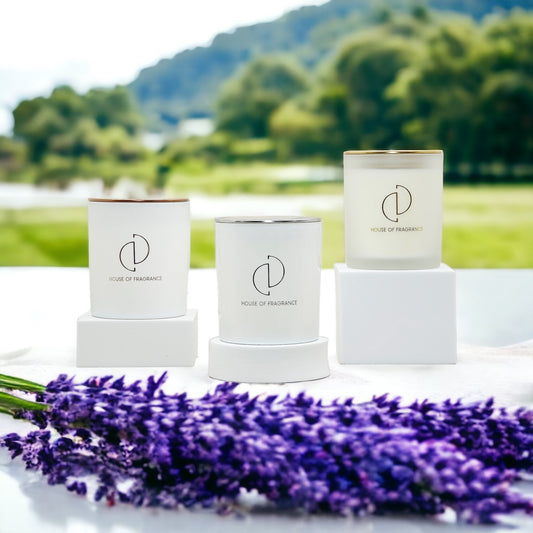 D&D Signature Scent Collection